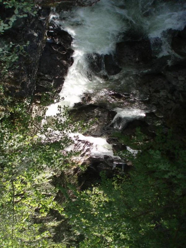 river.webp