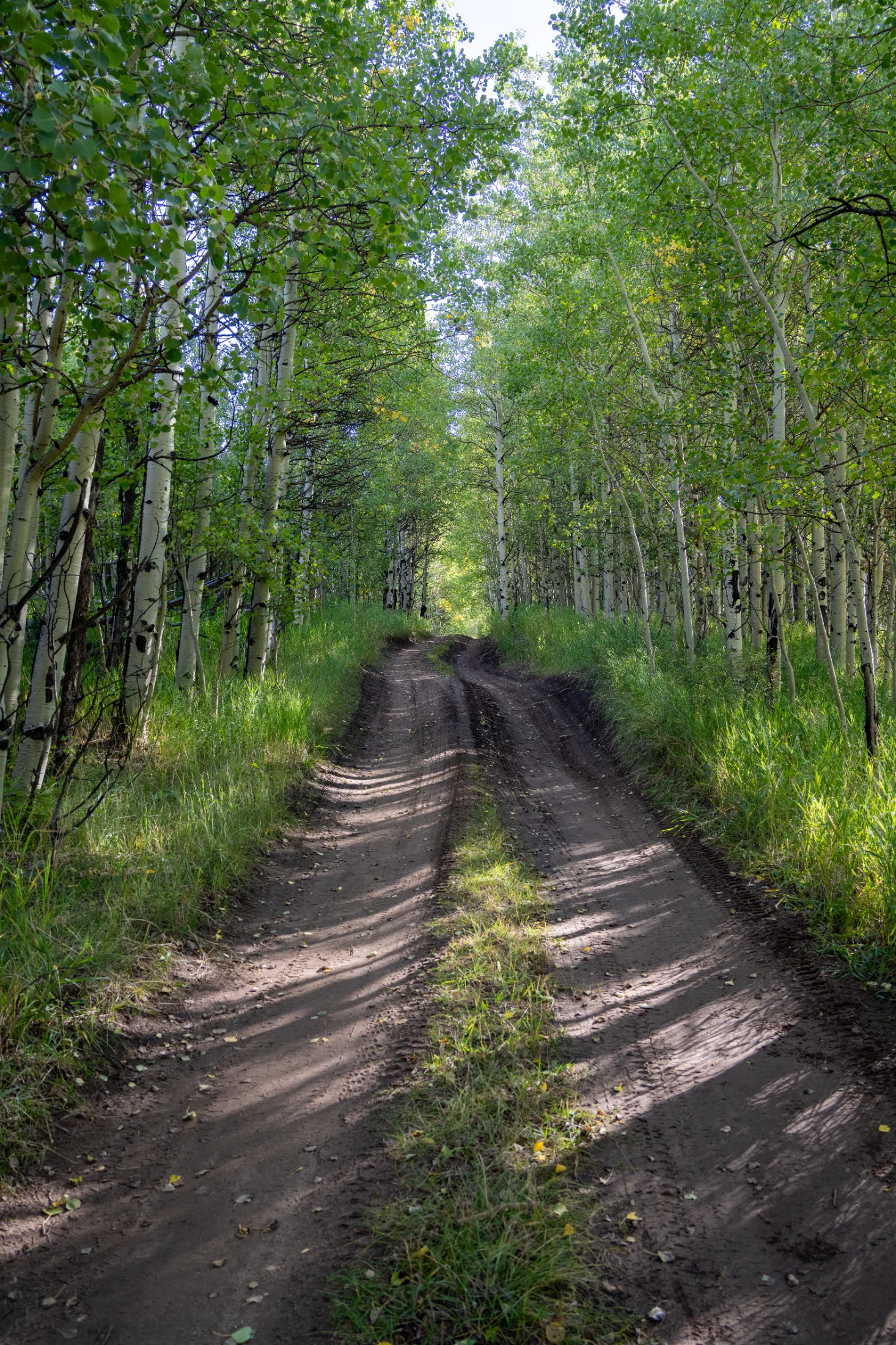 RJL02066-HDR.webp