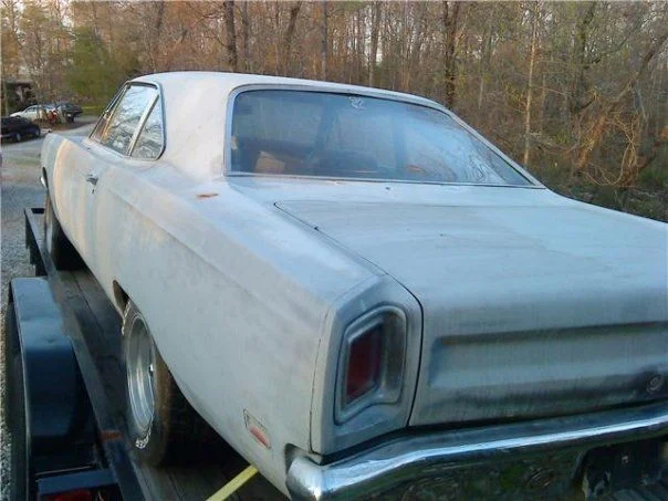 roadrunner1.webp