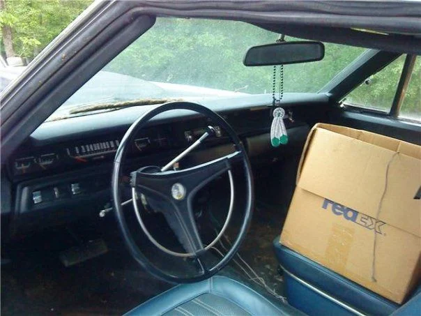 roadrunner2.webp