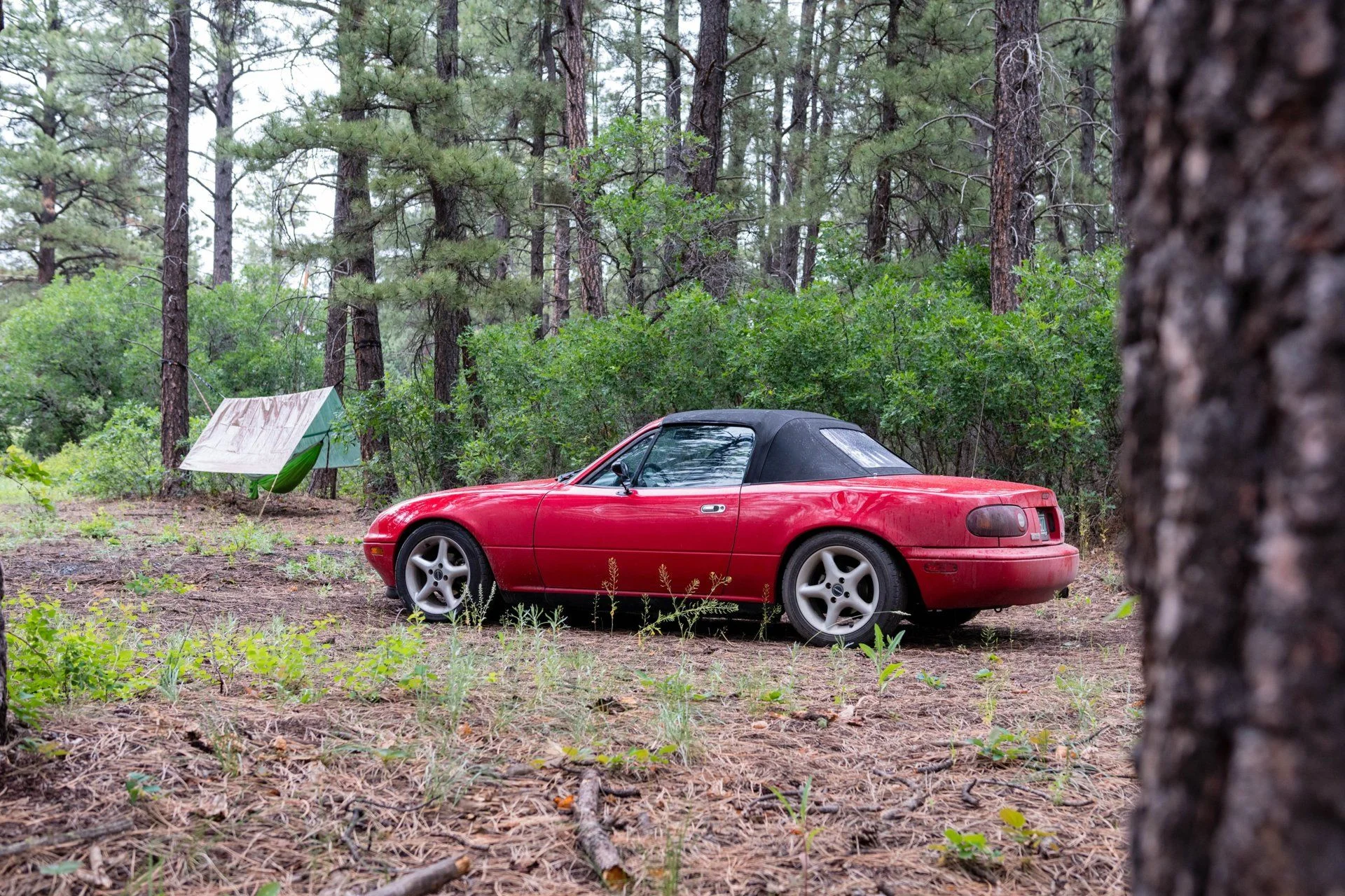 RoadTrip-0634.1.jpg