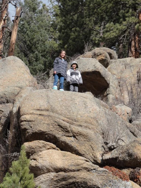 rocks_2.webp