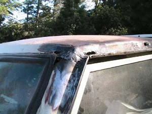 roof rot.webp