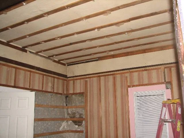 Room1.webp