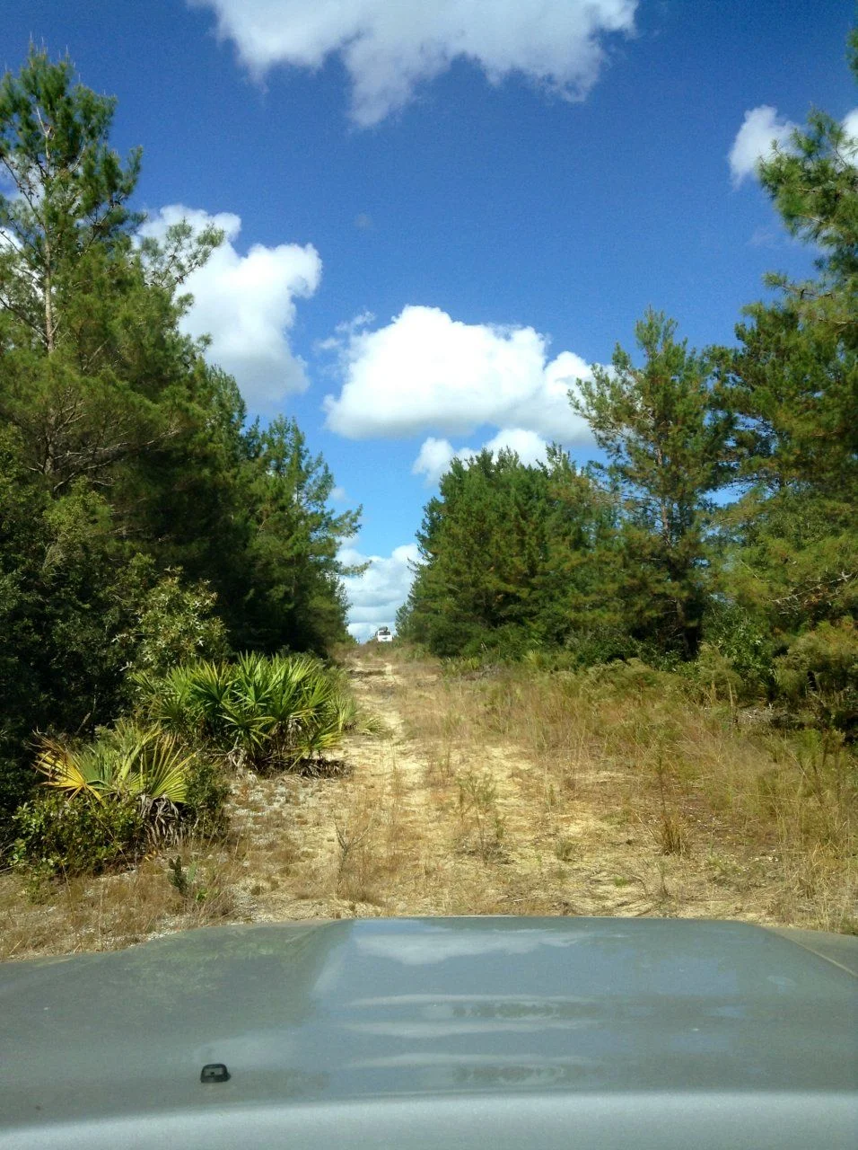 Route 88.webp