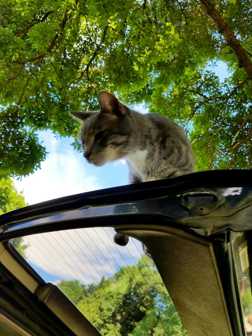 rps20180708_091518.webp