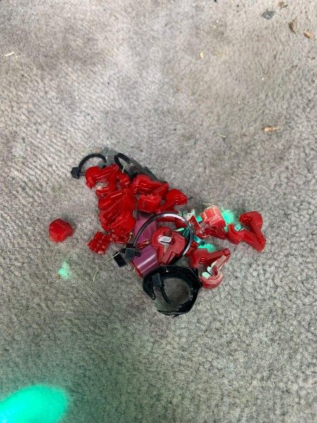 rs2.jpg