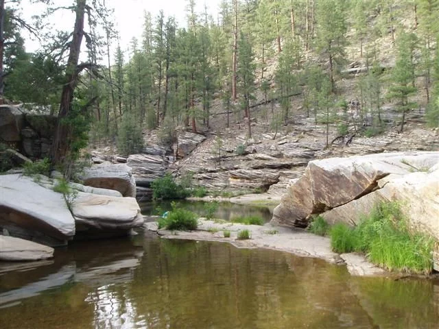 RTTKinder crossing 035 (Small).webp