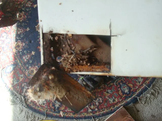 rusty bottoms 003.webp
