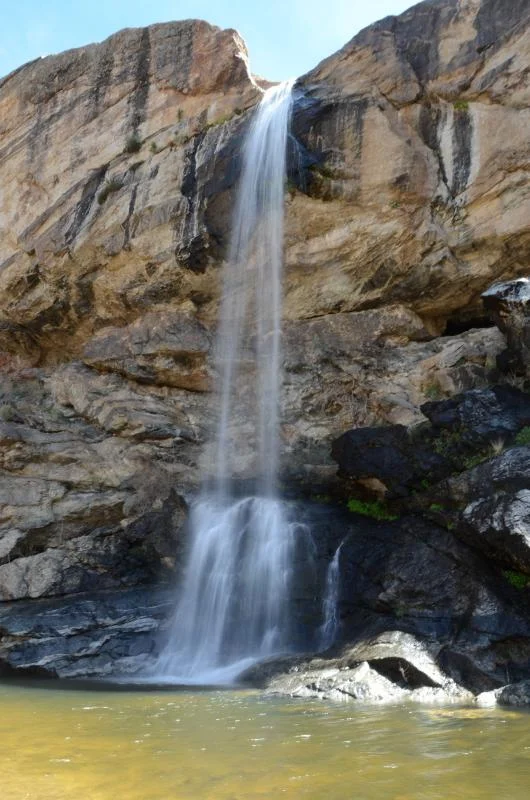RUT_2915.webp