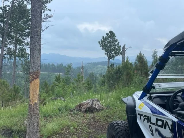 RZR.webp