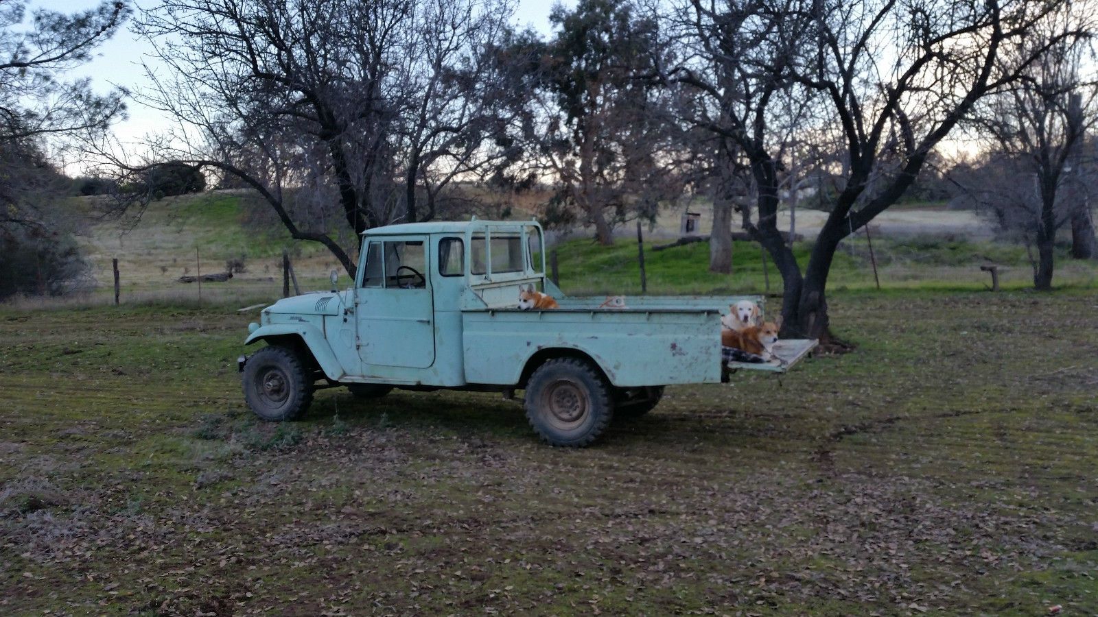 s-l1600.jpg