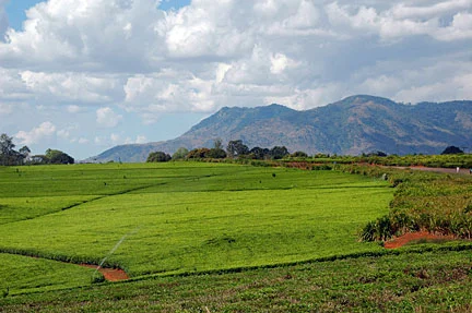 S-Malawi-20080802-0100.webp