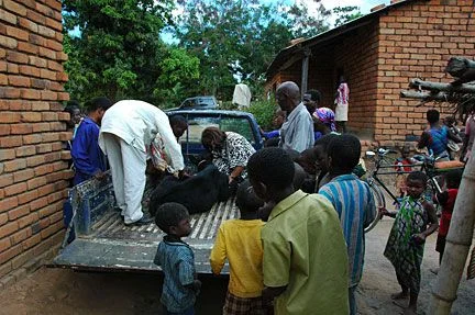 S-Malawi-20080802-0112.webp