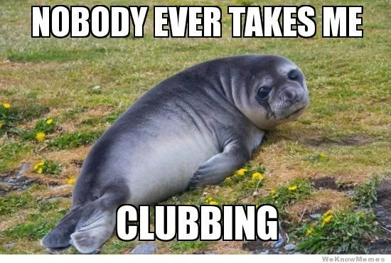 sad-seal-meme.webp