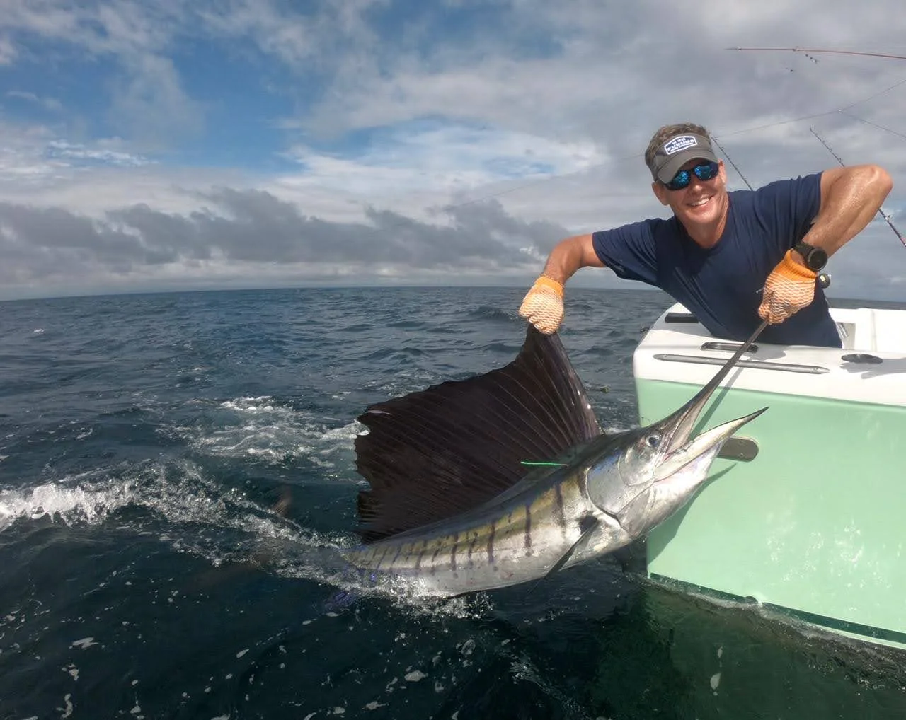 Sailfish PIc.webp