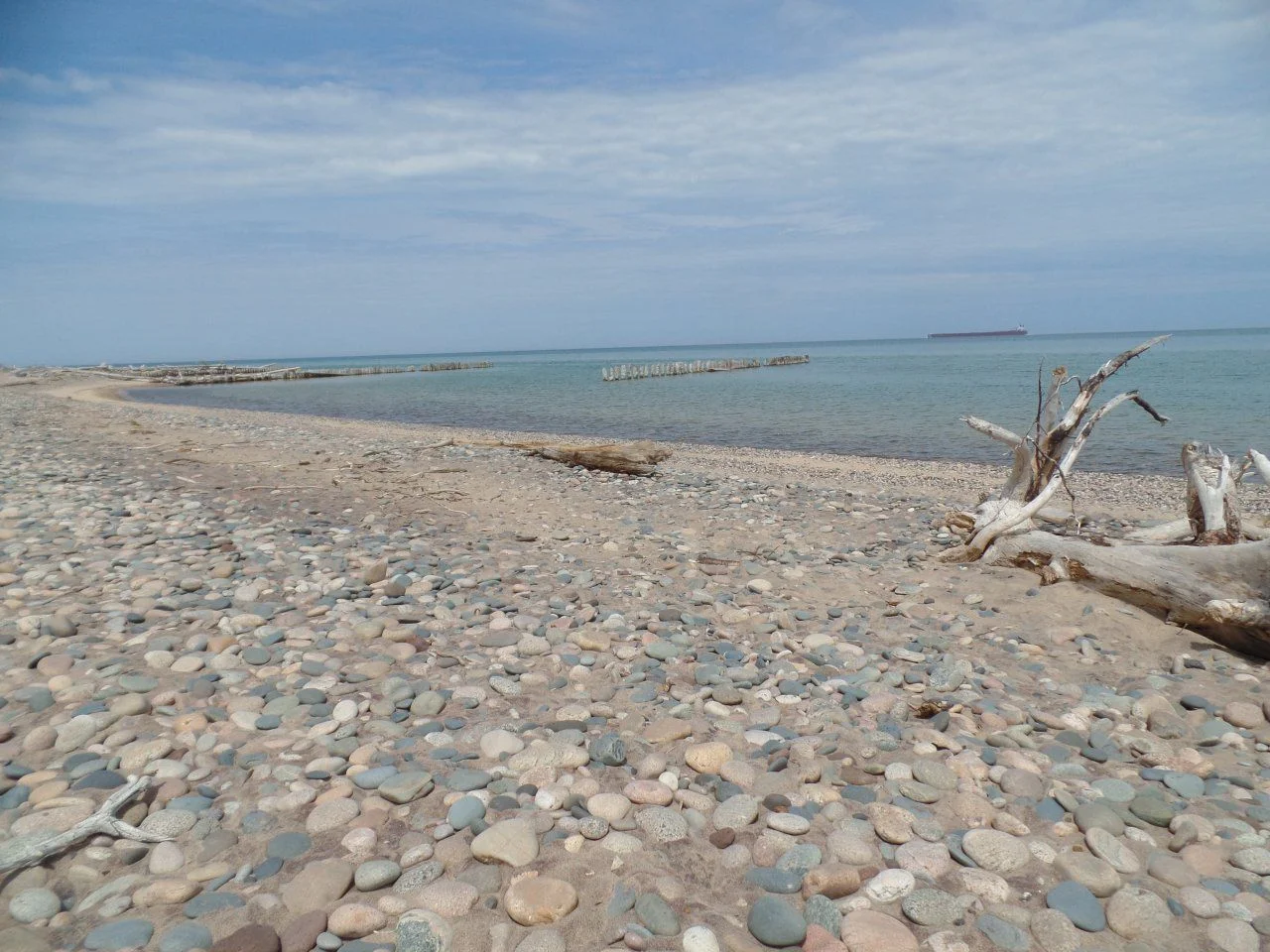 SAM_0442.webp