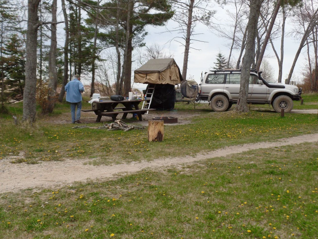 SAM_0462.webp
