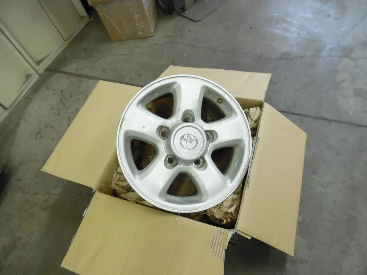 SAM_0647.webp