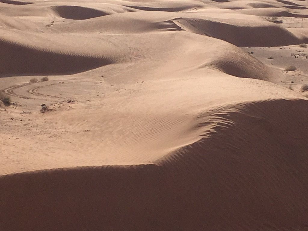 Sand dunes.jpg