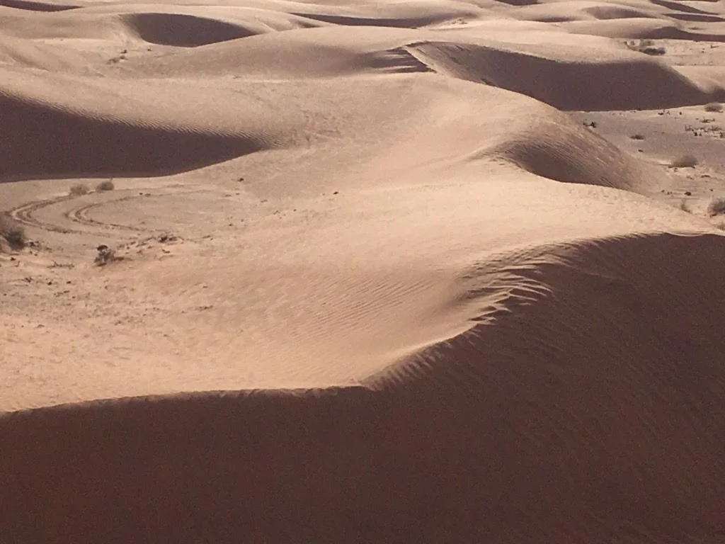 Sand dunes.webp