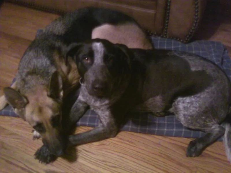 sasha 2.webp