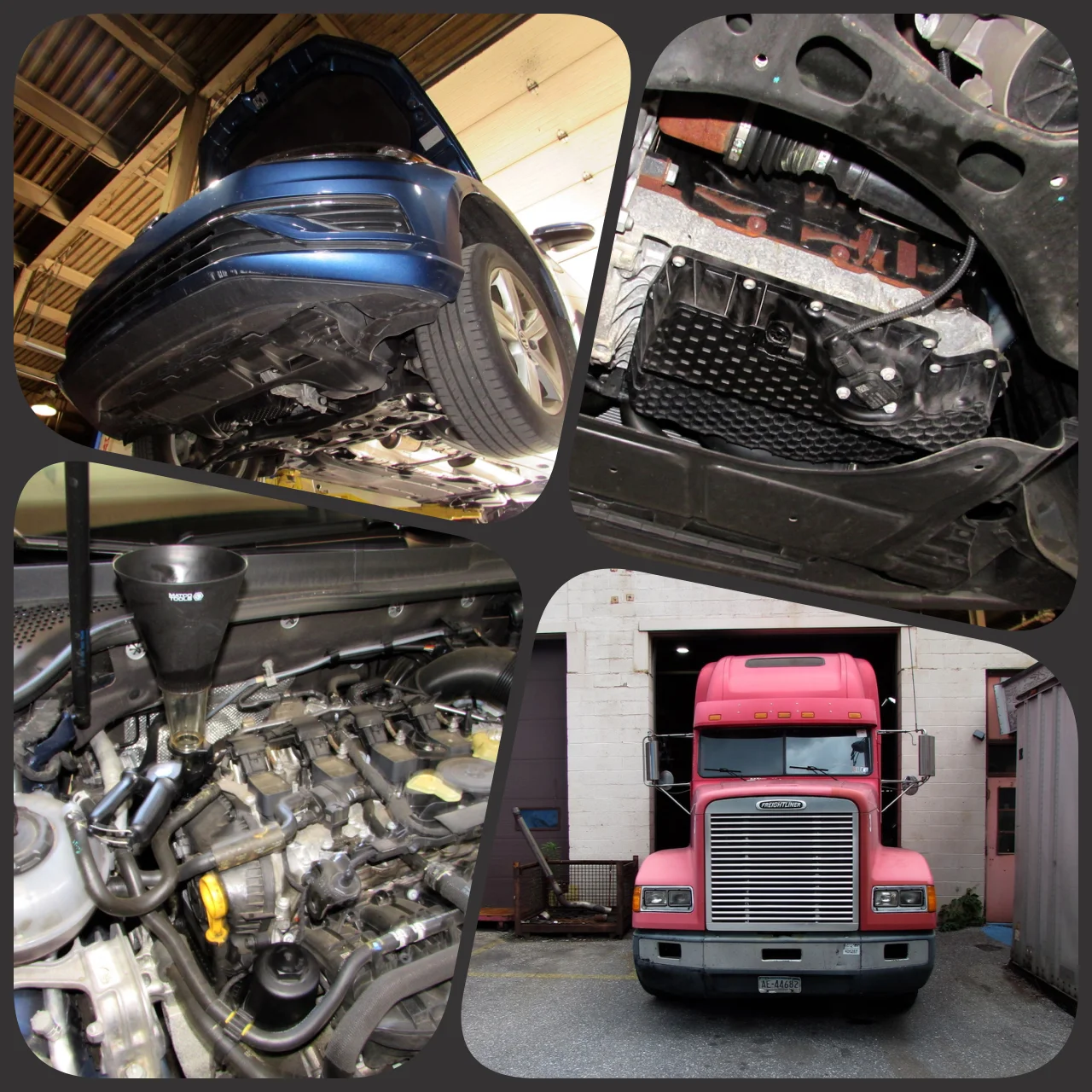 Saturday Collage.webp
