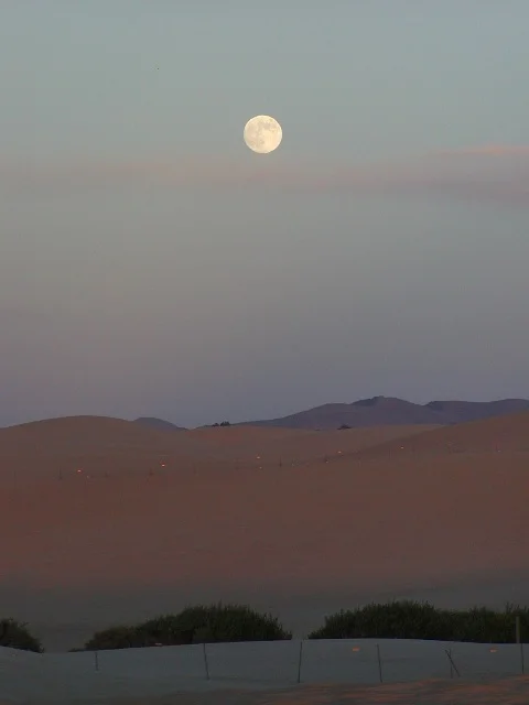 Saturday moon rise.webp