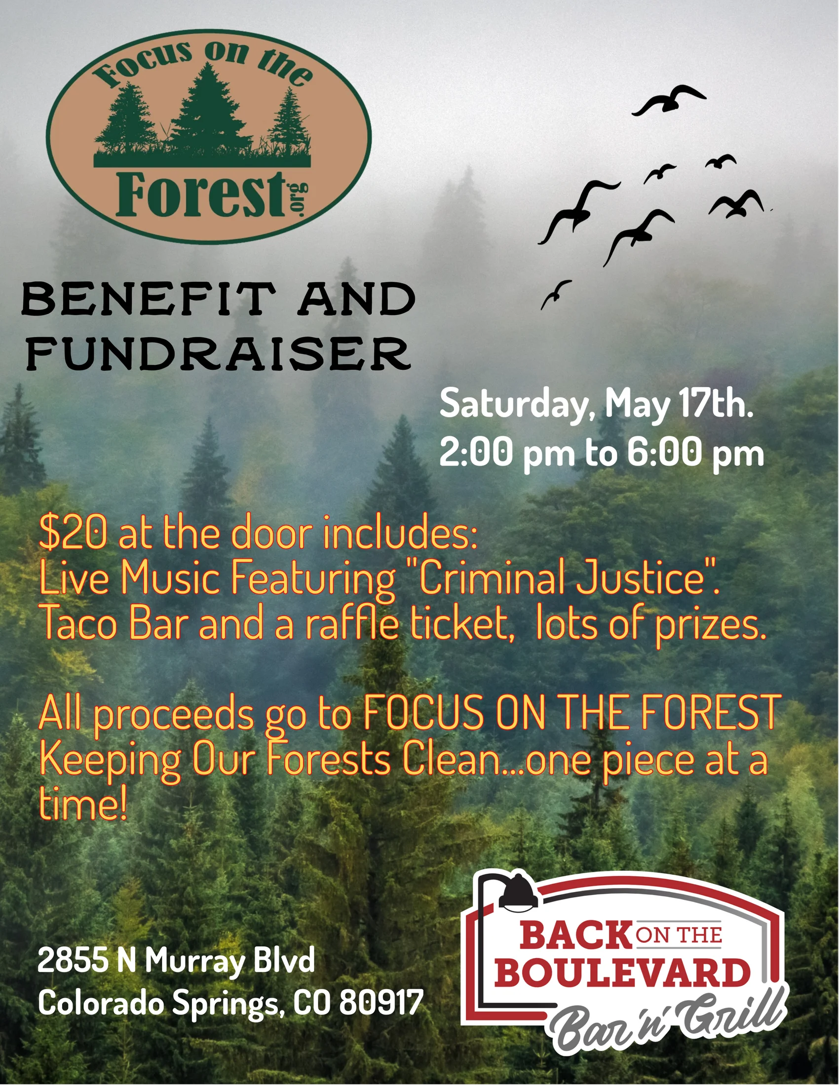 SaveTheForest+Flyer+(1)[1].webp
