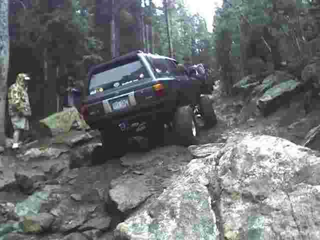 SC1.webp