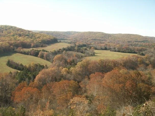 Scenery 2.webp