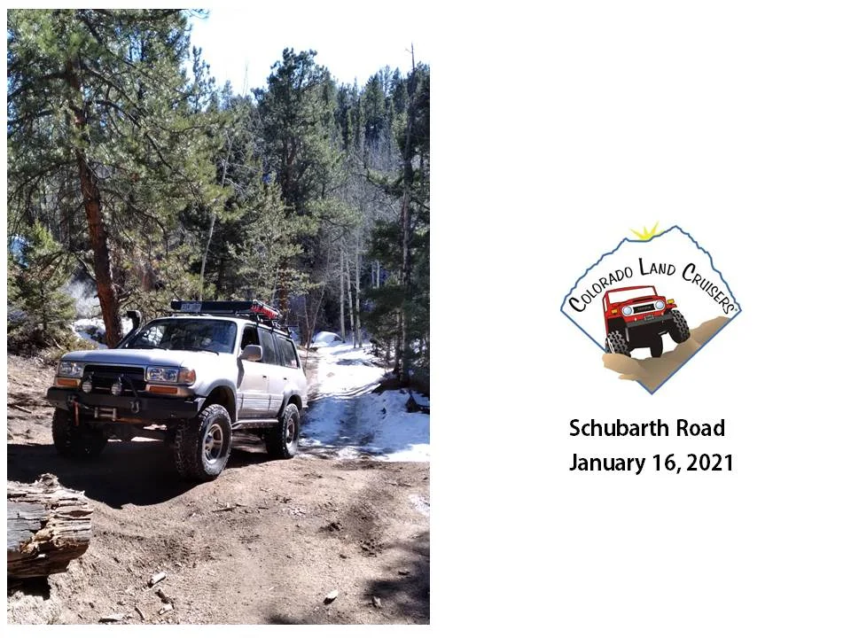 Schubarth collage_2 16 JAN 21.webp