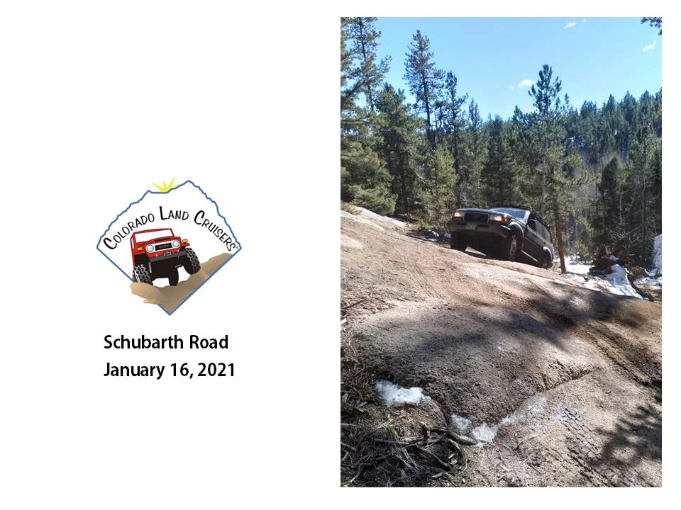 Schubarth collage_3 16 JAN 21.webp