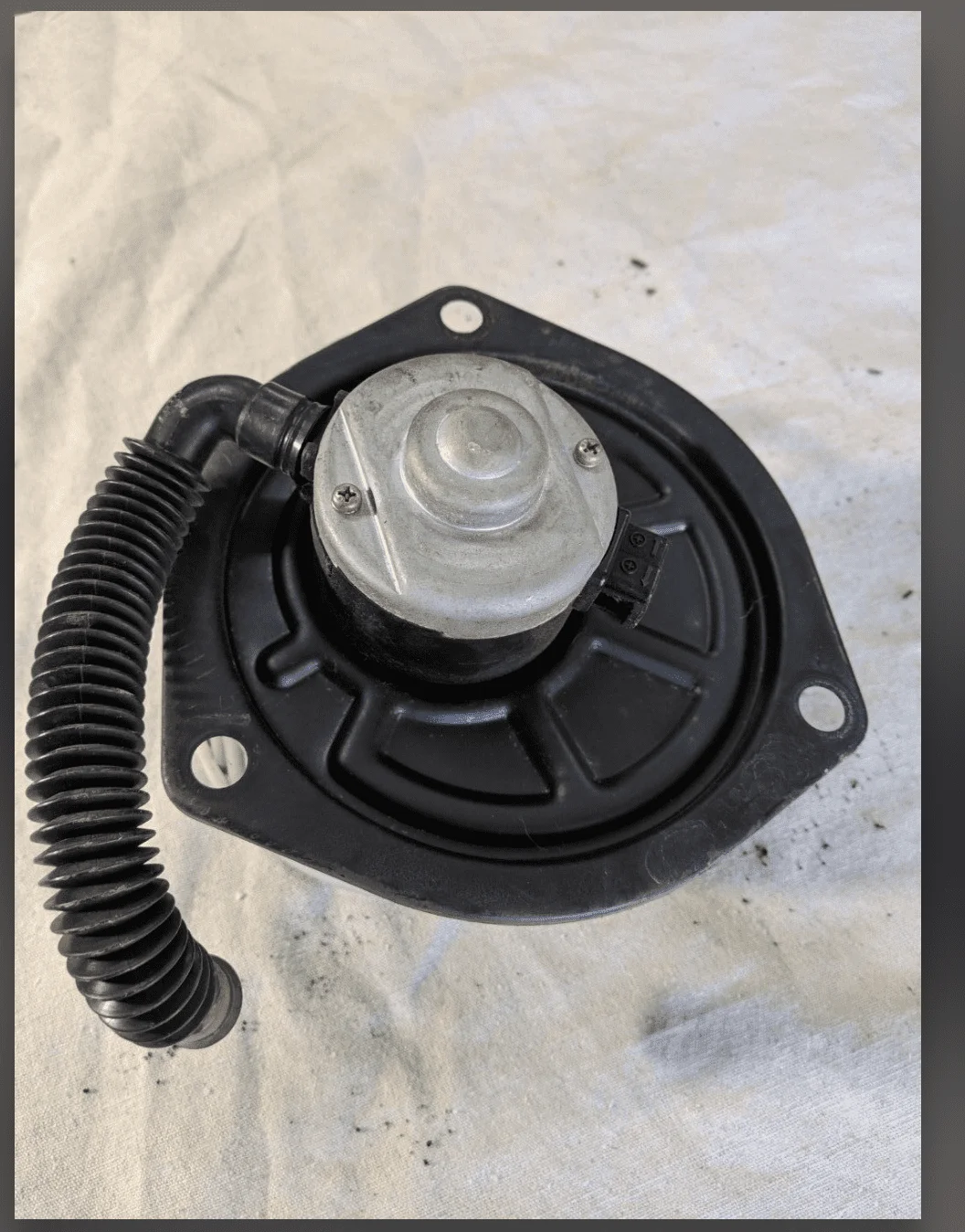 Screen Shot 2019-02-24 at 3.12.31 PM.webp
