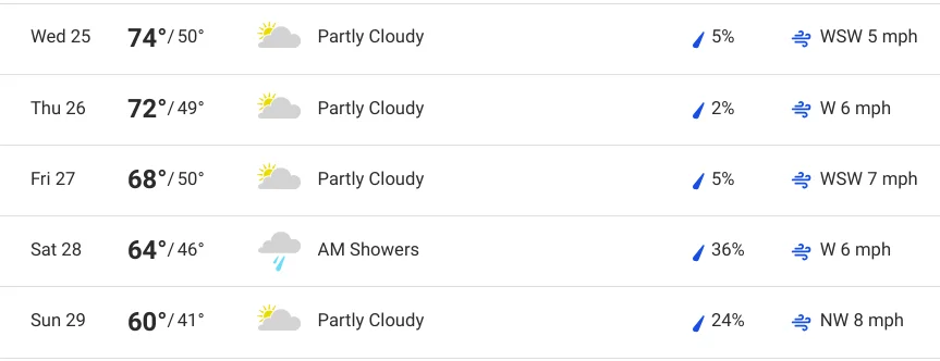Screenshot 2023-10-20 2.22.05 PM.webp