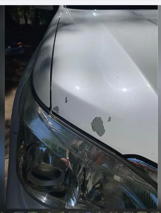 Screenshot from 2022-05-18 15-03-15.webp
