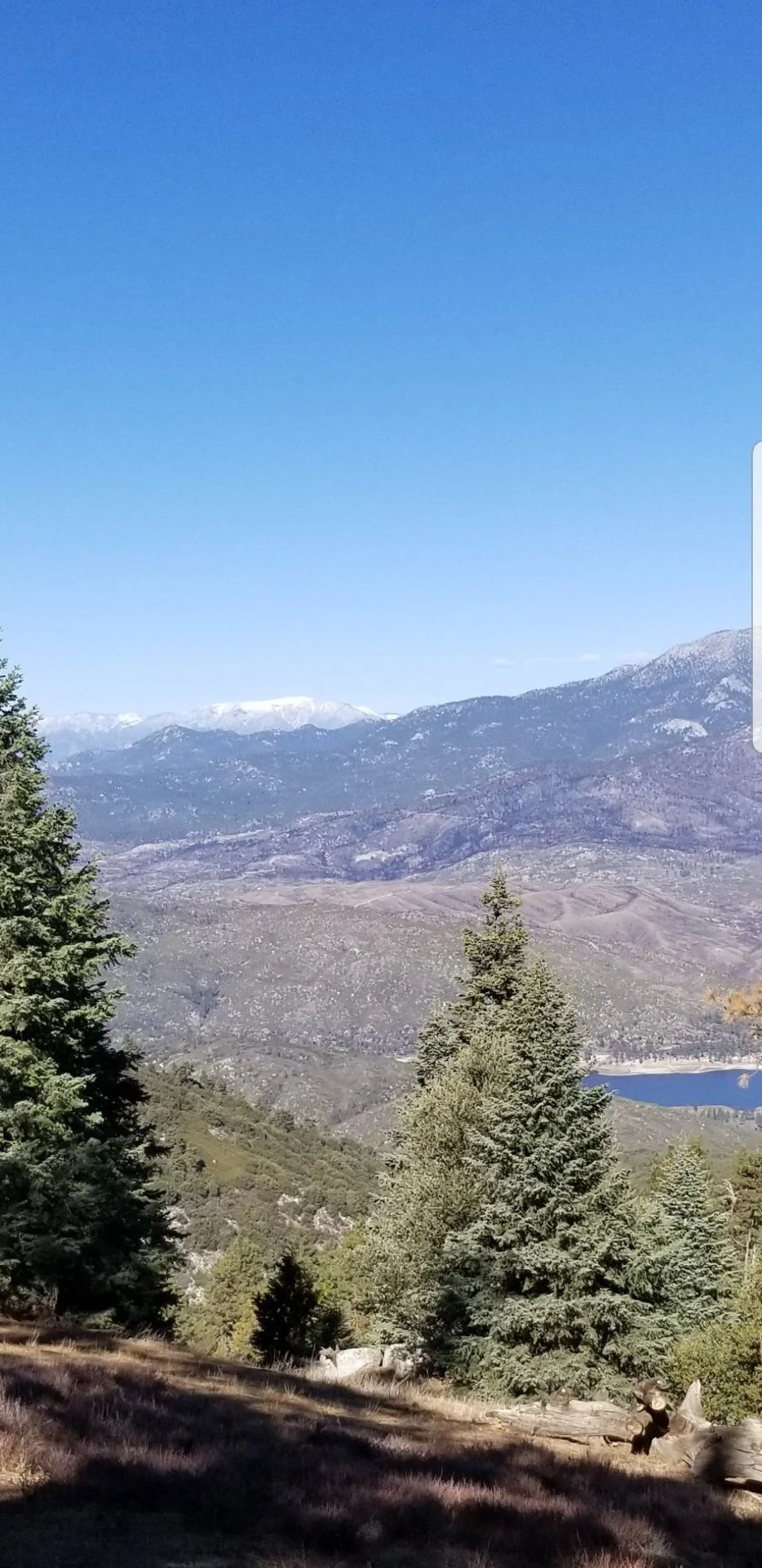 Screenshot_20181215-113634_Gallery.webp