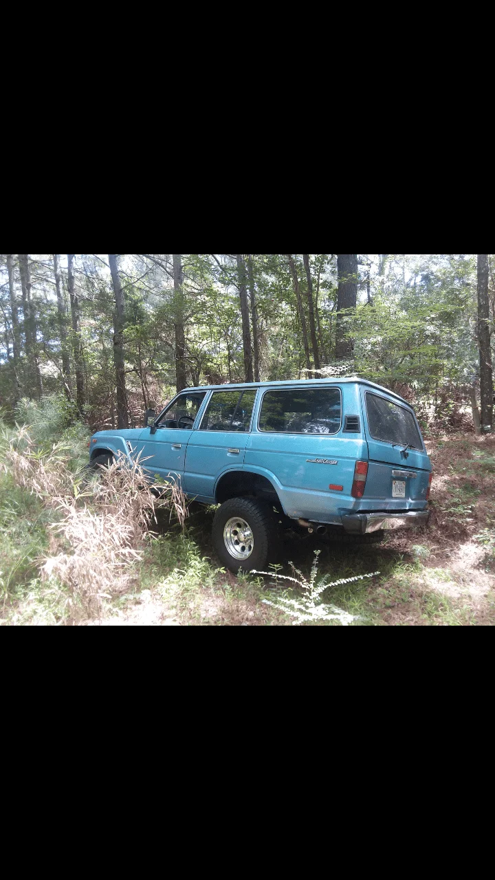 Screenshot_20200131-124208.webp