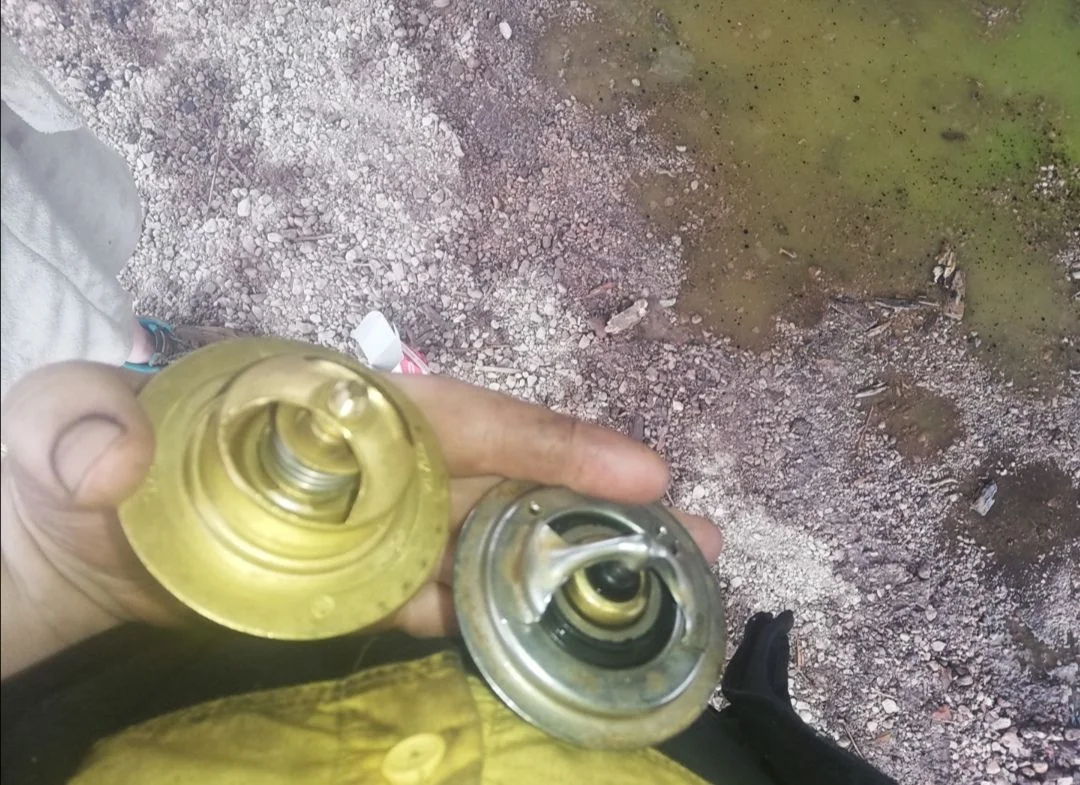 Screenshot_20210423_064311.webp