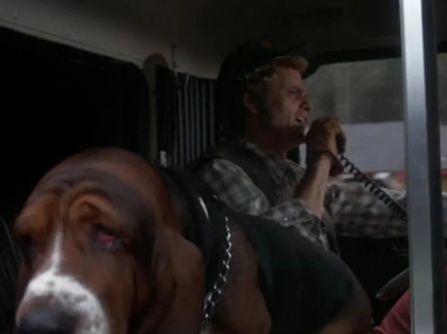 Screenshot_20220806-175308_Chrome.webp