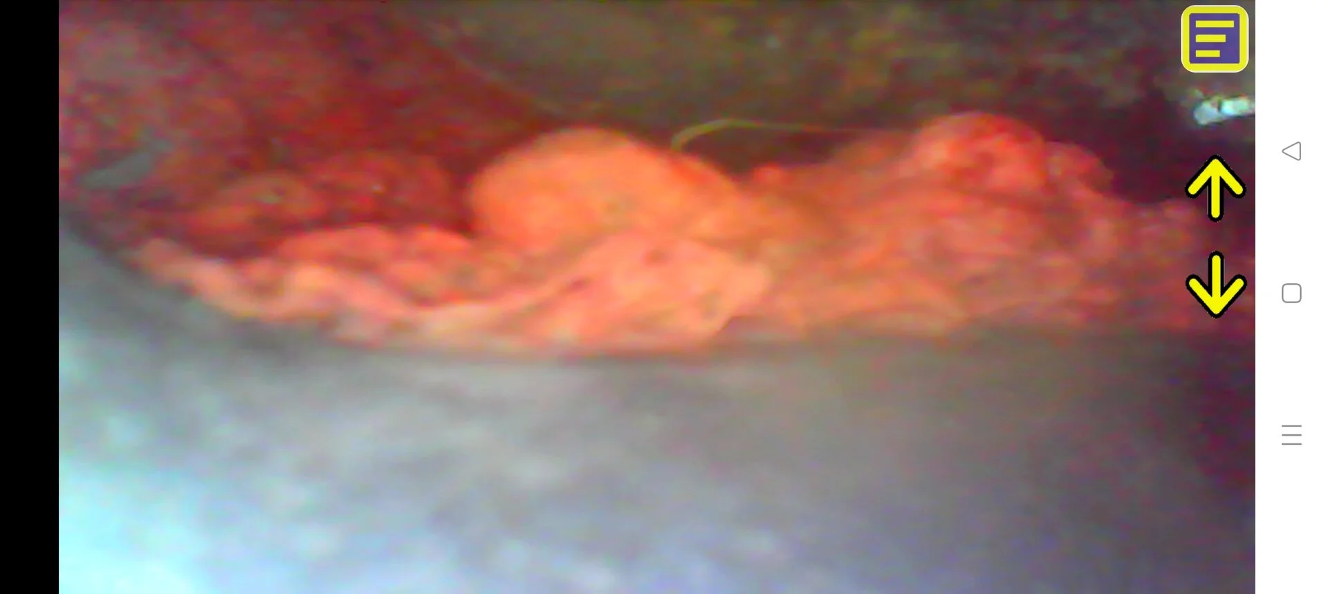 Screenshot_2023-08-04-17-49-58-12_f916e57795d064f1a330c189f688bab4.webp