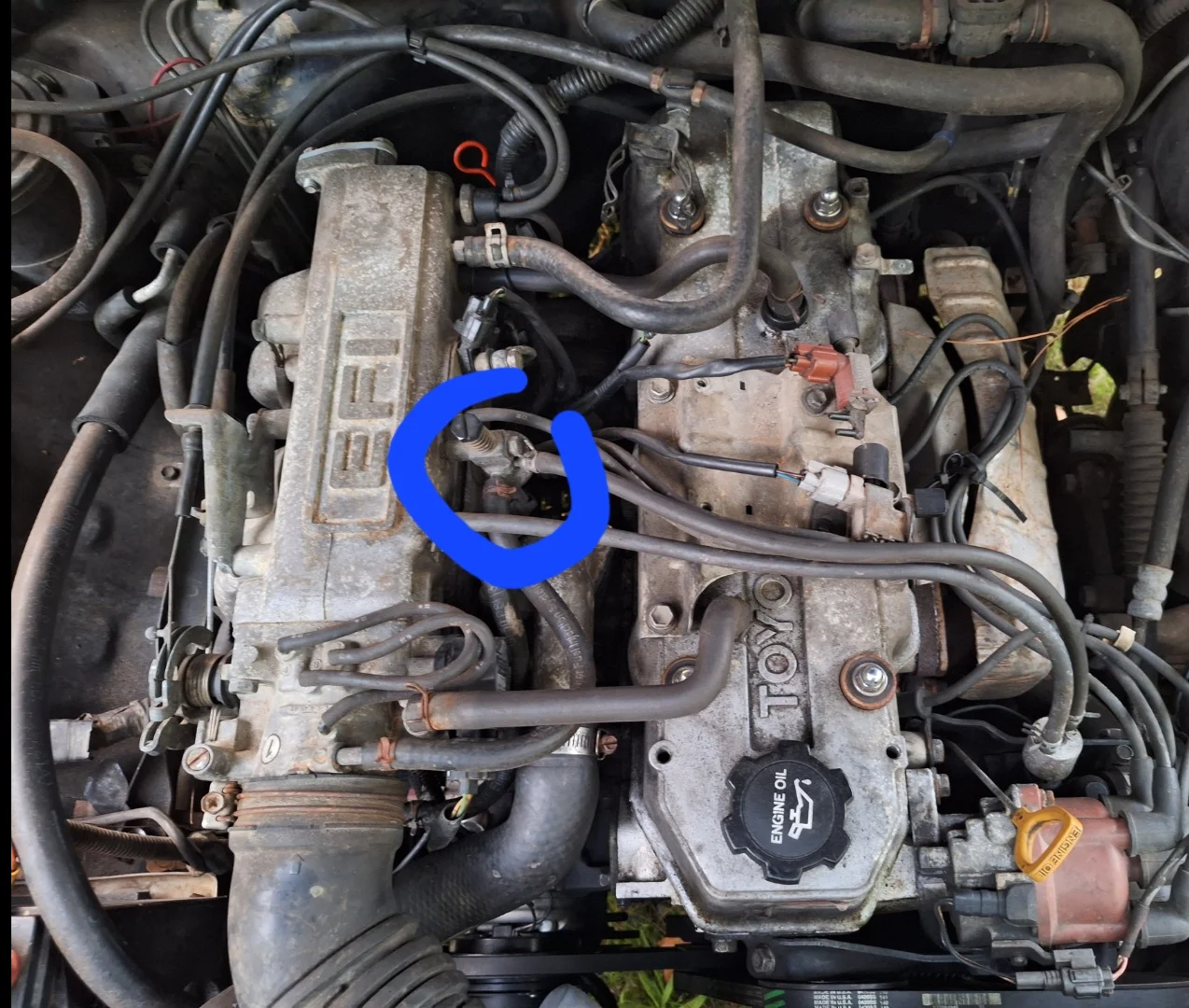 Screenshot_20230720_144543_Gallery.webp