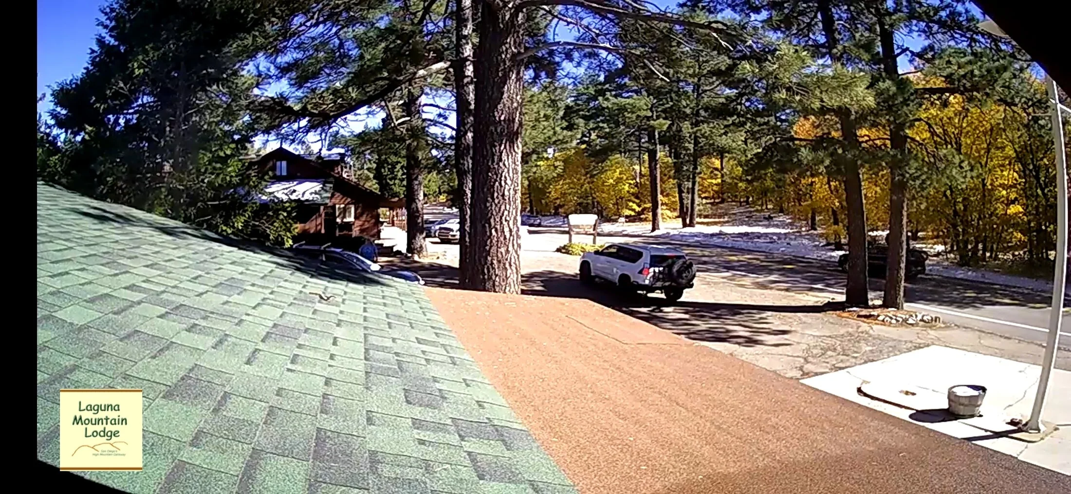 Screenshot_20241117_102110_Brave.webp
