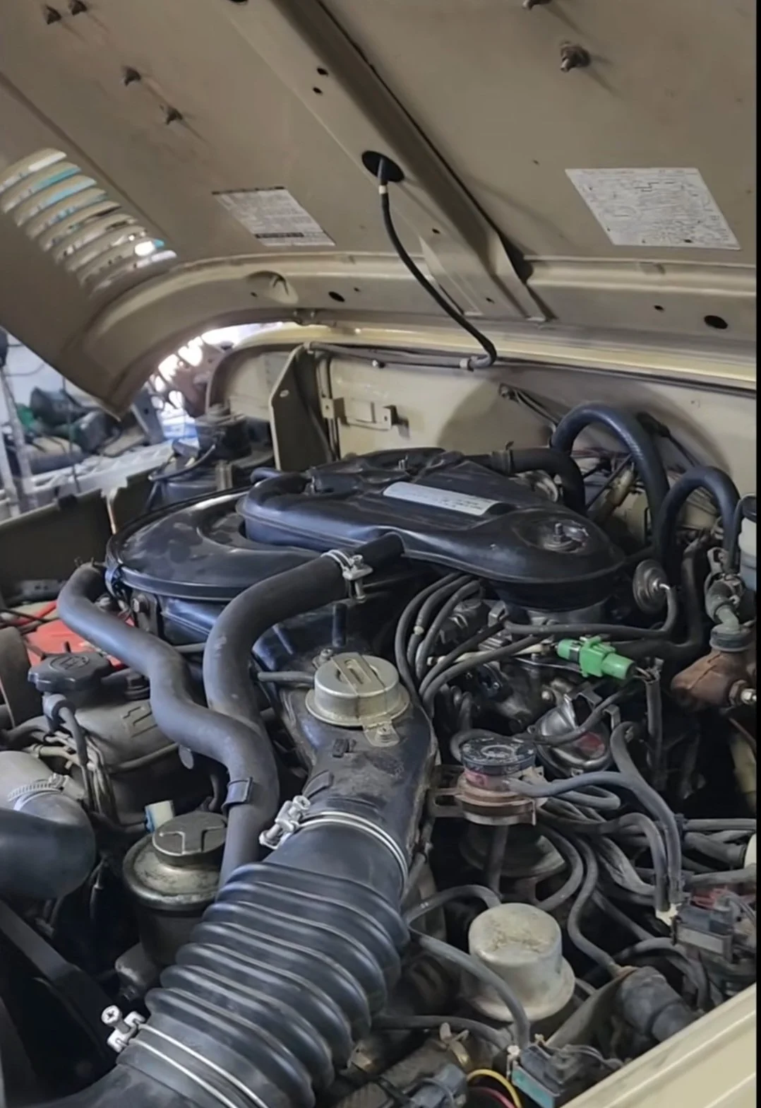 Screenshot_20250906_073331_TikTok.webp