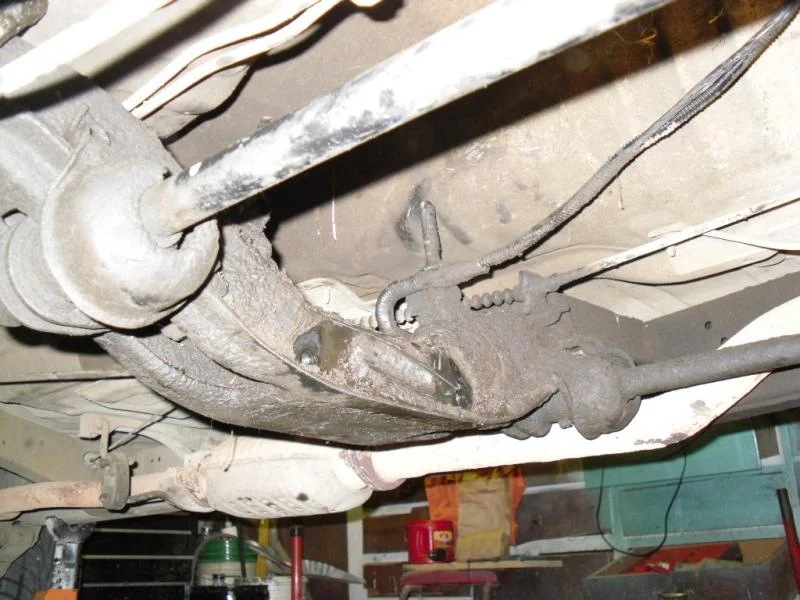 SDC10463.jpg