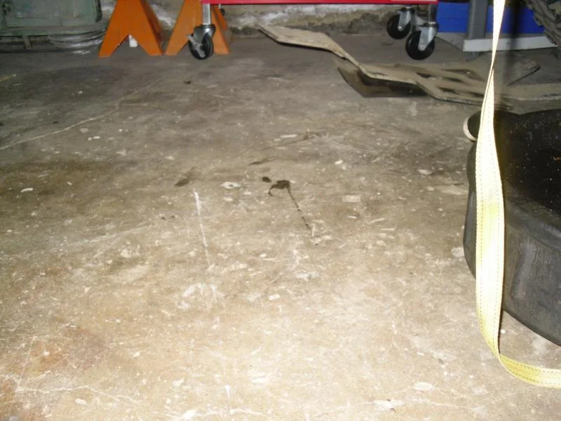 SDC11900.webp