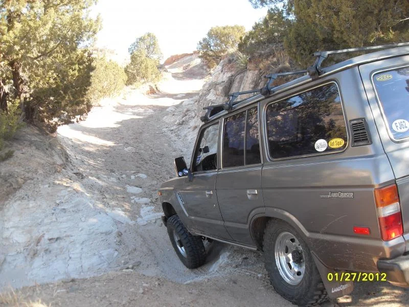 SDC16198.webp