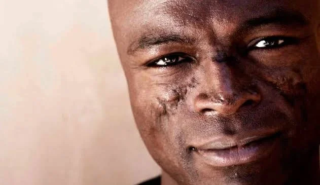 seal.webp