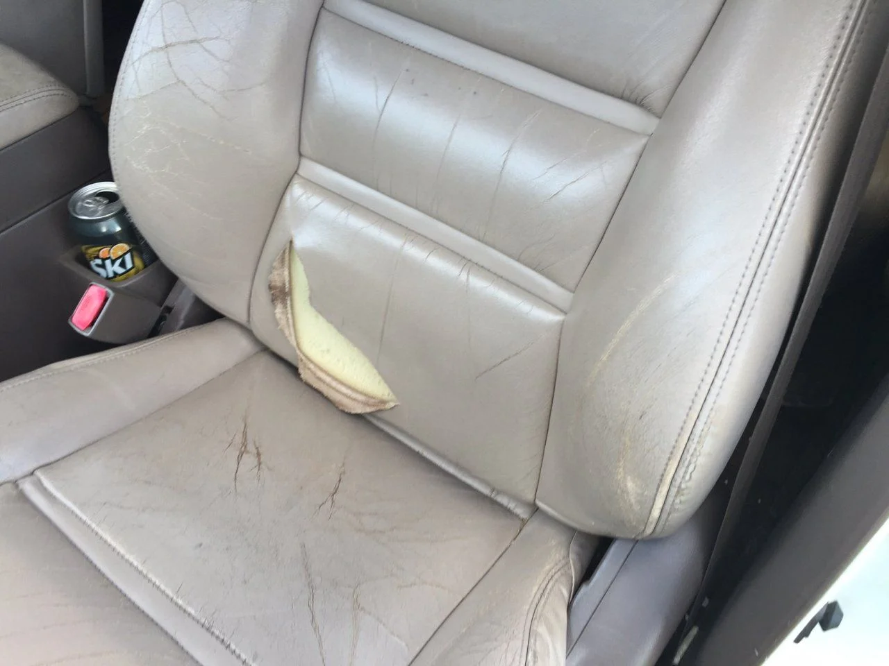 seat rip.webp