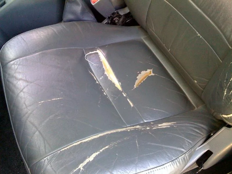 seat.webp
